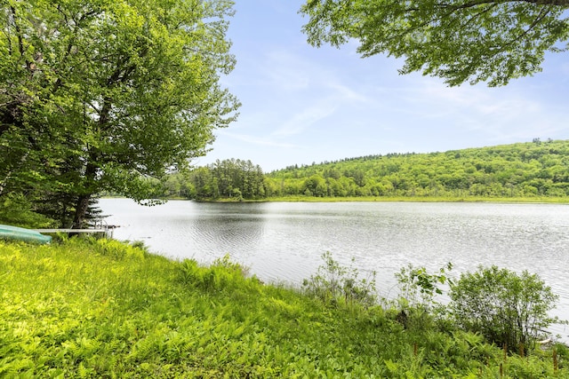 67 Day Mountain Rd, Temple, ME 04984 - water view featuring a heavily wooded area