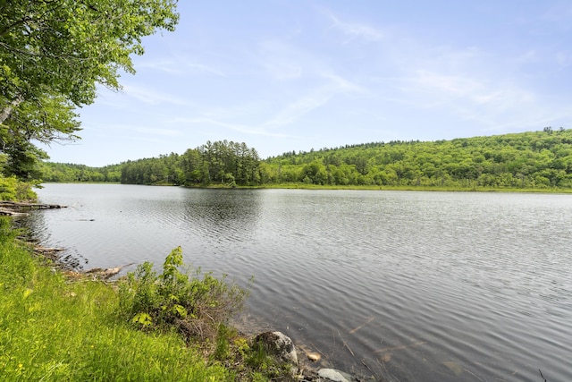 67 Day Mountain Rd, Temple, ME 04984 - water view featuring a forest