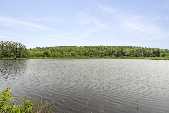 67 Day Mountain Rd, Temple, ME 04984 - water view with a heavily wooded area