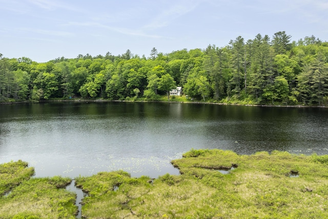 67 Day Mountain Rd, Temple, ME 04984 - water view featuring a forest