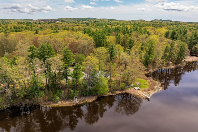 80 Indian Rivers Dr, Eliot, ME 03903 - drone / aerial view of a heavily wooded area and a large body of water