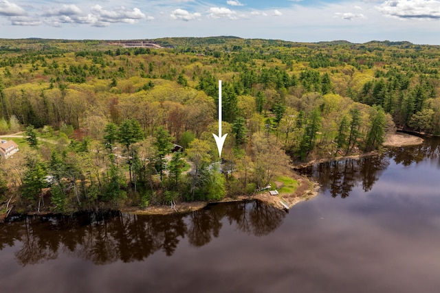 80 Indian Rivers Dr, Eliot, ME 03903 - view of property location with a forest and a nearby body of water