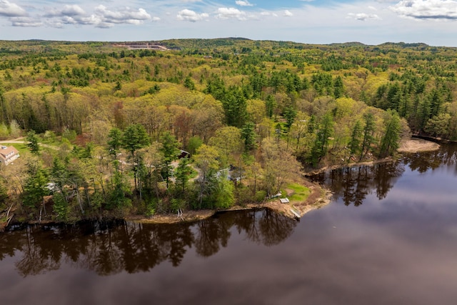 80 Indian Rivers Dr, Eliot, ME 03903 - aerial overview of property's location with a forest and a large body of water