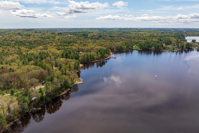 80 Indian Rivers Dr, Eliot, ME 03903 - aerial view of a forest and a large body of water