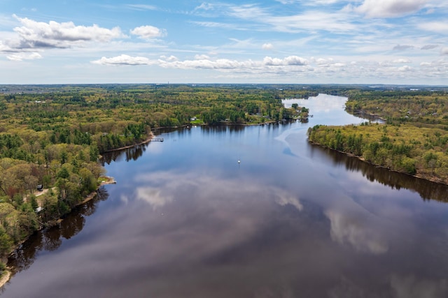 80 Indian Rivers Dr, Eliot, ME 03903 - drone / aerial view of a forest and a large body of water