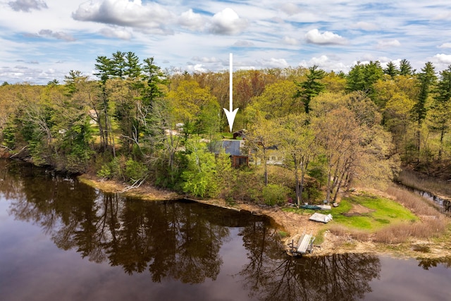 80 Indian Rivers Dr, Eliot, ME 03903 - water view featuring a forest