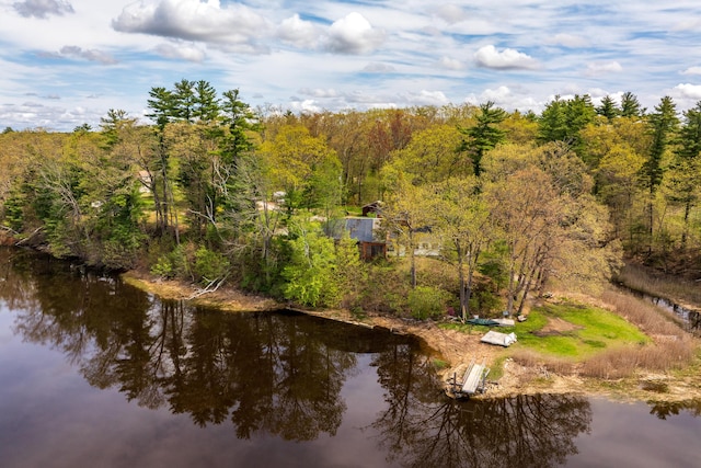 80 Indian Rivers Dr, Eliot, ME 03903 - bird's eye view of a forest and a large body of water