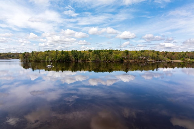 80 Indian Rivers Dr, Eliot, ME 03903 - water view featuring a heavily wooded area