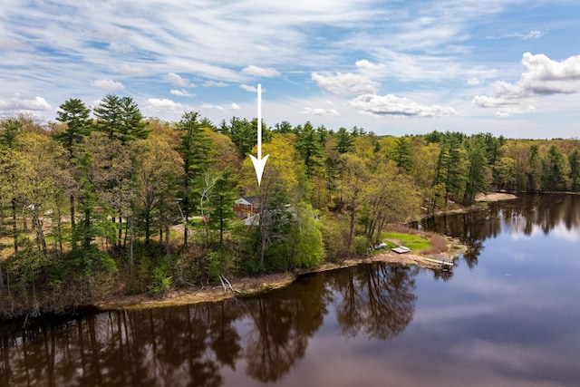 80 Indian Rivers Dr, Eliot, ME 03903 - water view featuring a forest