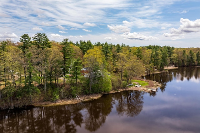 80 Indian Rivers Dr, Eliot, ME 03903 - water view featuring a heavily wooded area