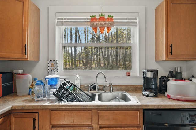 19 Brann Ave, Augusta, ME 04330 - kitchen featuring dishwasher, a sink, plenty of natural light, and light countertops