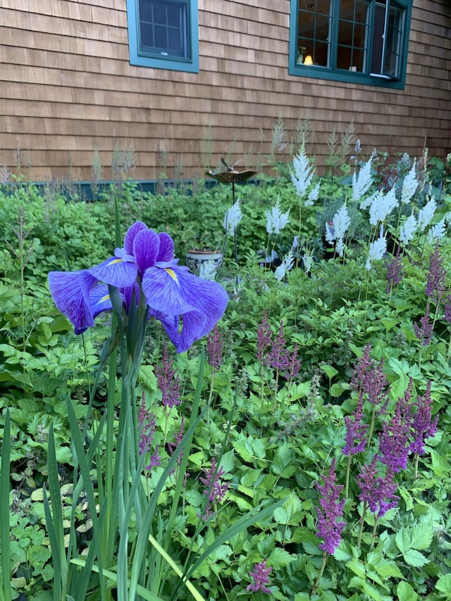 1026 Essex St, Bangor, ME 04401 - photo 125