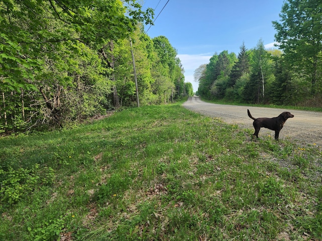 6.5AC Estabrook Rd, Amity, ME 04471