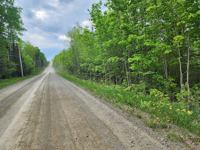 6.5AC Estabrook Rd, Amity, ME 04471
