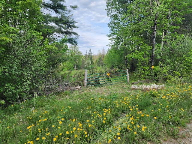 6.5AC Estabrook Rd, Amity, ME 04471