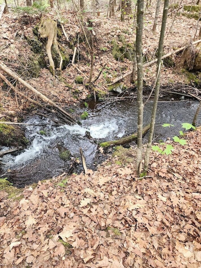6.5AC Estabrook Rd, Amity, ME 04471