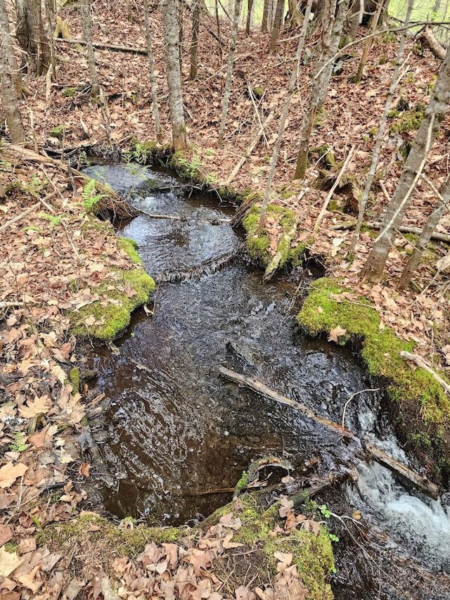 6.5AC Estabrook Rd, Amity, ME 04471