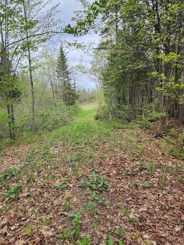 6.5AC Estabrook Rd, Amity, ME 04471
