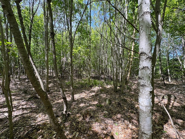 M10L8 Stub Marsh Rd, North Berwick, ME 03906