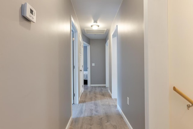 313 Nevells Way, Ellsworth, ME 04605 - corridor with light wood finished floors and baseboards