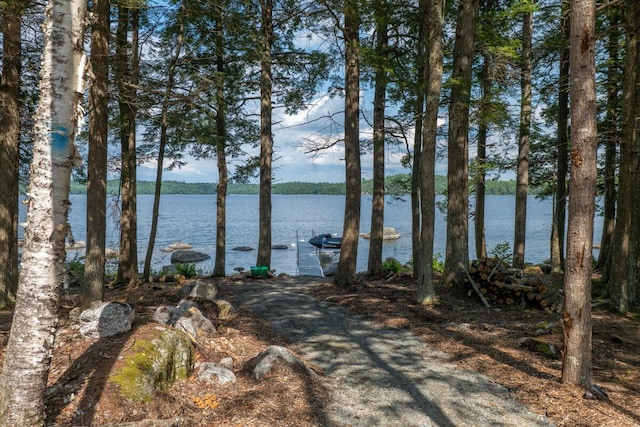 313 Nevells Way, Ellsworth, ME 04605 - water view featuring a boat dock