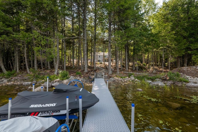 313 Nevells Way, Ellsworth, ME 04605 - view of dock