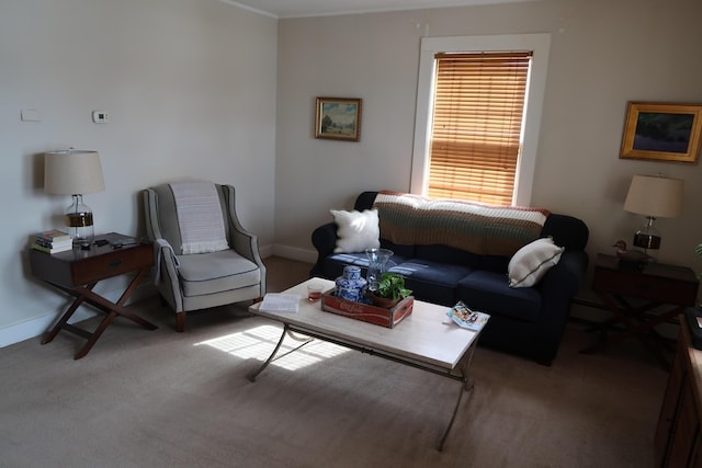 11 Green St, Winthrop, ME 04364 - living room with carpet floors and baseboards