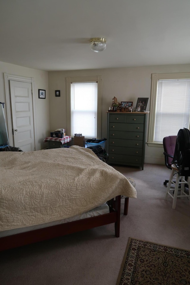 11 Green St, Winthrop, ME 04364 - bedroom featuring multiple windows and carpet flooring