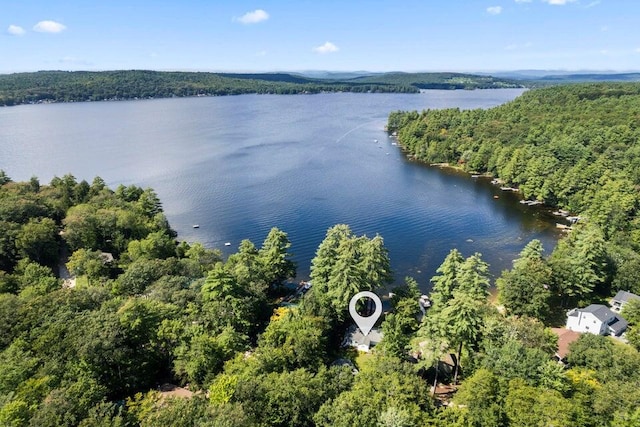 61 Beechwoods Rd, Oxford, ME 04270 - bird's eye view of a forest and a nearby body of water