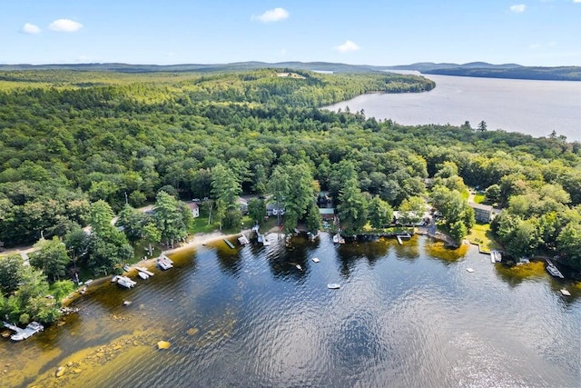 61 Beechwoods Rd, Oxford, ME 04270 - aerial view of property and surrounding area with a large body of water and a forest