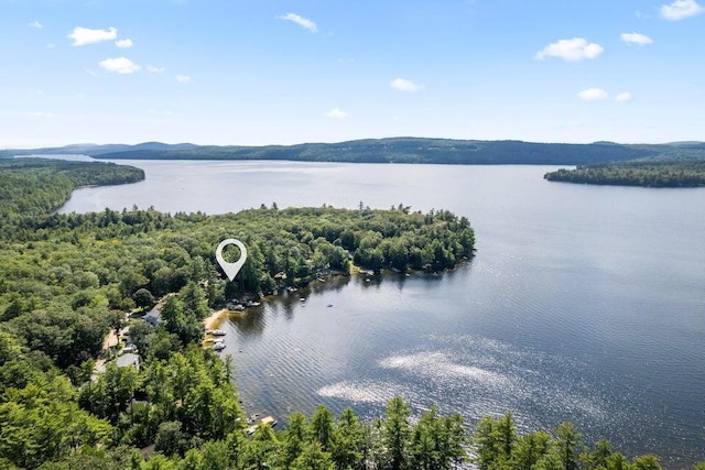61 Beechwoods Rd, Oxford, ME 04270 - drone / aerial view of a large body of water and a heavily wooded area