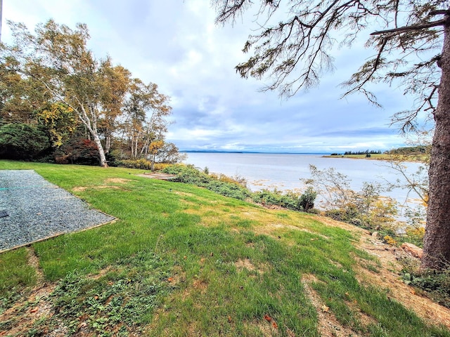 58 Back Shore Rd, Castine, ME 04421 - view of grassy yard featuring a water view