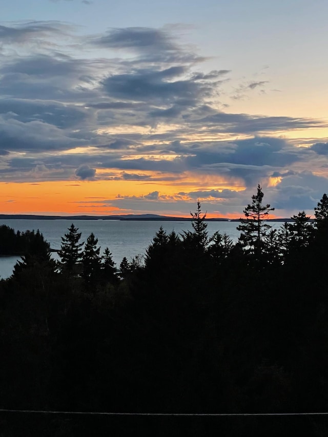 290 Clark Point Rd, Tremont, ME 04612