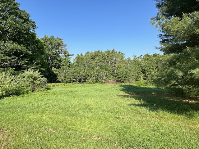 320 Spring Rd, Augusta, ME 04330 - view of yard with a view of trees