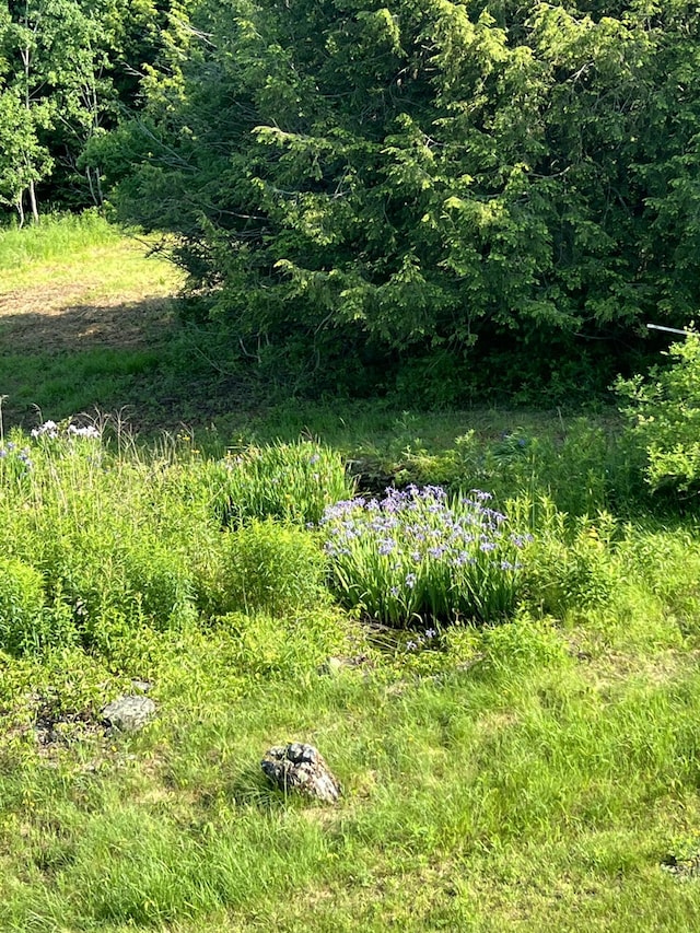 320 Spring Rd, Augusta, ME 04330 - view of nature