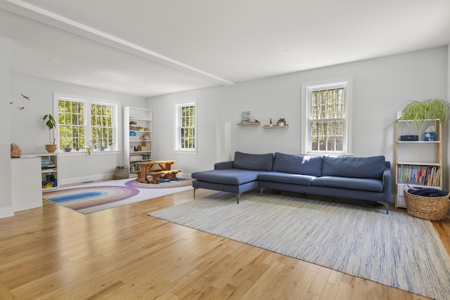living room with wood finished floors, plenty of natural light, and baseboards