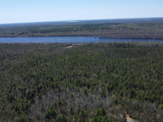 170 Pine Rd, Greenbush, ME 04418 - photo 4
