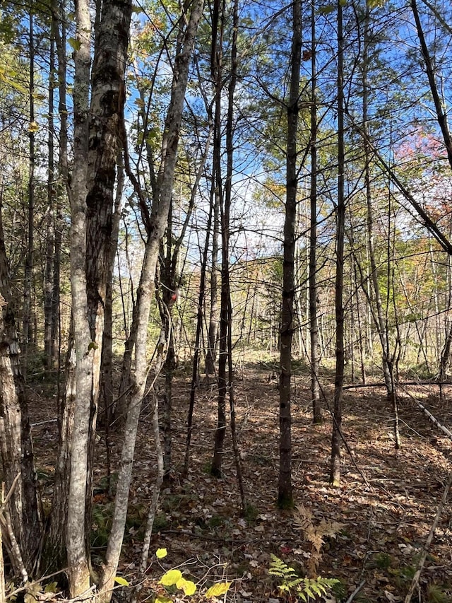 R9LOT4 Upper Middle Rd, Lebanon, ME 04072