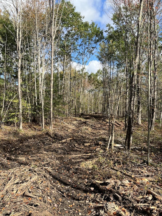 R9LOT4 Upper Middle Rd, Lebanon, ME 04072