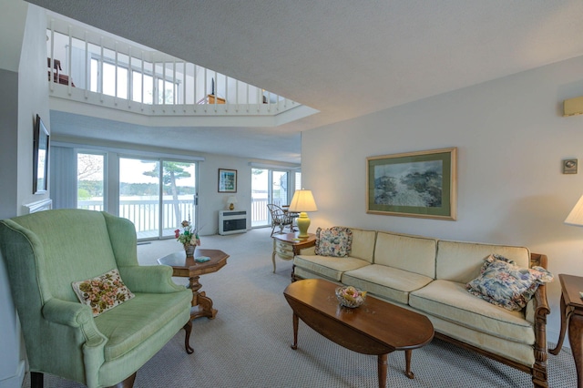 5 Goodridge Dr Unit 5, Naples, ME 04055 - living area with carpet flooring