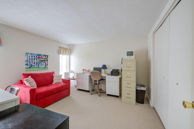 5 Goodridge Dr Unit 5, Naples, ME 04055 - home office with light carpet and a textured ceiling