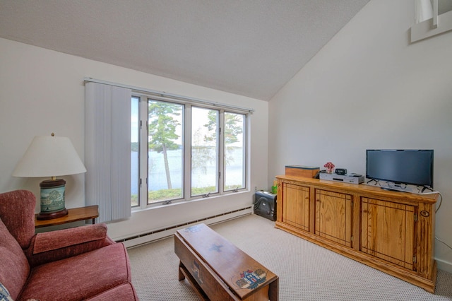 5 Goodridge Dr Unit 5, Naples, ME 04055 - living room with a baseboard heating unit, light colored carpet, and lofted ceiling