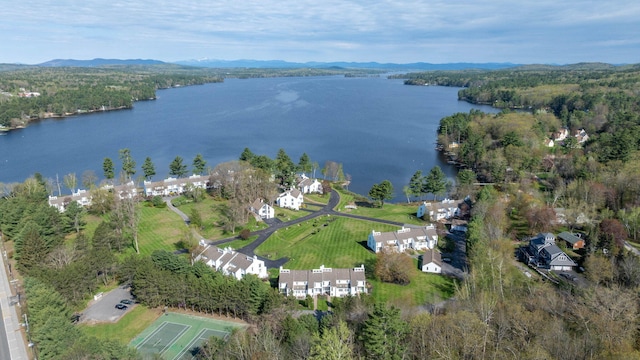5 Goodridge Dr Unit 5, Naples, ME 04055 - aerial view of property's location with a water and mountain view and a heavily wooded area