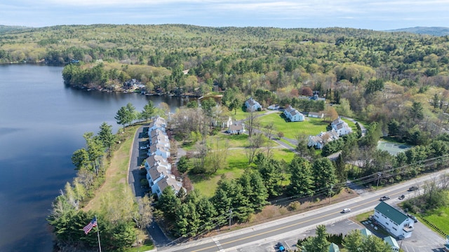 5 Goodridge Dr Unit 5, Naples, ME 04055 - aerial view of property's location with a heavily wooded area and a large body of water