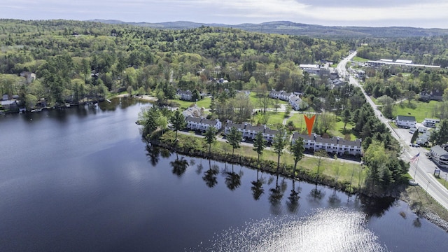 5 Goodridge Dr Unit 5, Naples, ME 04055 - view of property location with a heavily wooded area and a water and mountain view