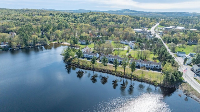 5 Goodridge Dr Unit 5, Naples, ME 04055 - view of property location with a water and mountain view and a heavily wooded area