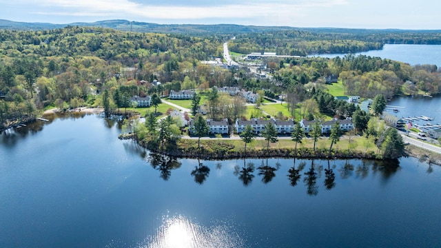 5 Goodridge Dr Unit 5, Naples, ME 04055 - aerial view of property and surrounding area with a nearby body of water and a heavily wooded area