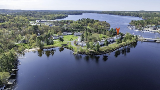 5 Goodridge Dr Unit 5, Naples, ME 04055 - view of property location with a forest and a large body of water
