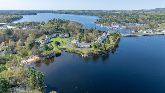5 Goodridge Dr Unit 5, Naples, ME 04055 - aerial overview of property's location with a large body of water and a forest