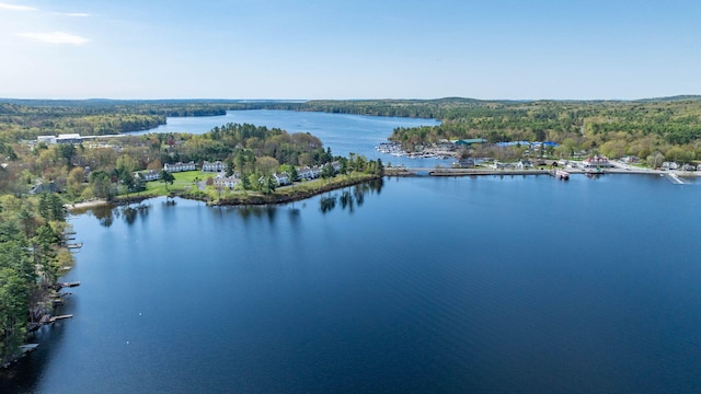 5 Goodridge Dr Unit 5, Naples, ME 04055 - bird's eye view of a large body of water and a forest